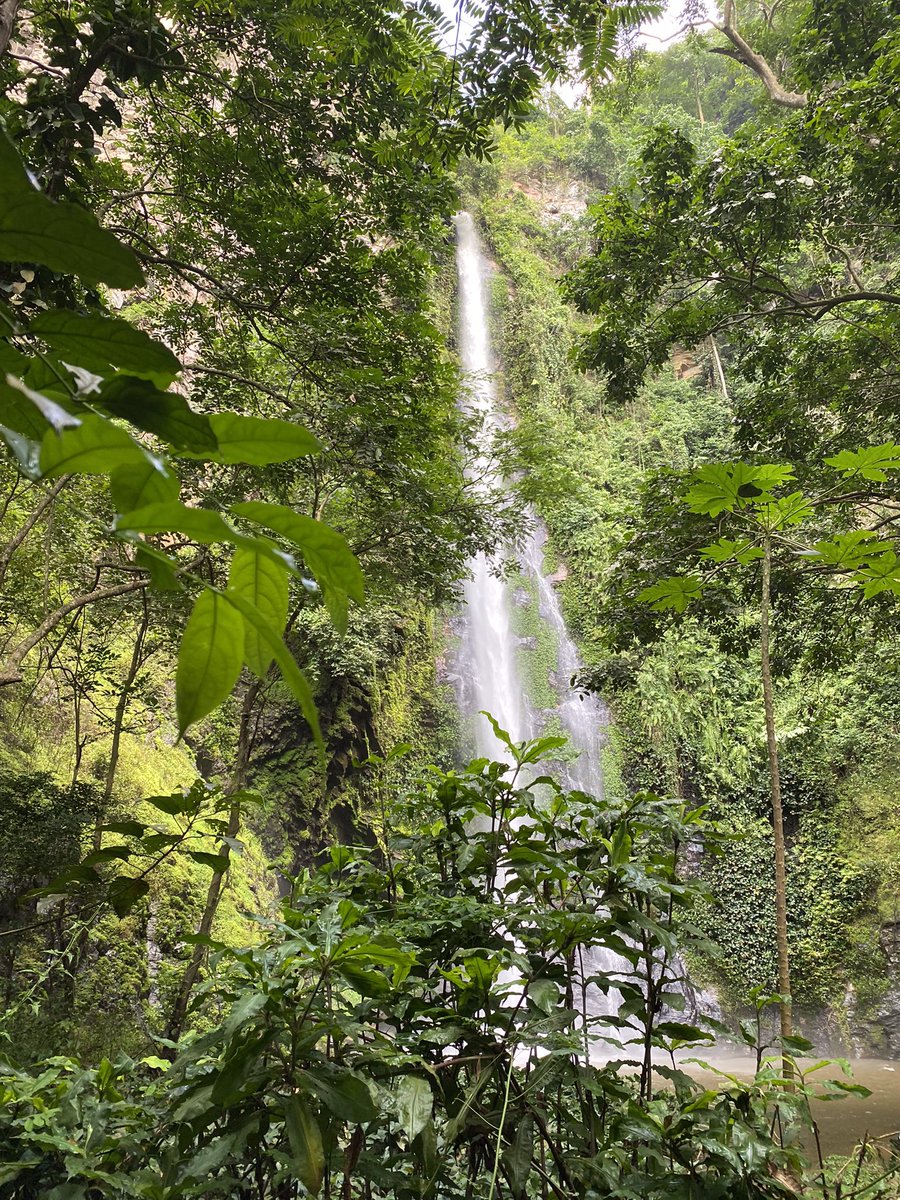 BrixenlaCour's tweet photo. Spent a couple of days in Liati Wote🇬🇭. Home to both #mountafadjato and #tagbofalls Amazing commitment to a clean and green environment in the community. No plastic in sight! Well done for showing the way👍🏻👏🏼@visit_volta #mountaineering #ghana https://t.co/6Zlhzk376s