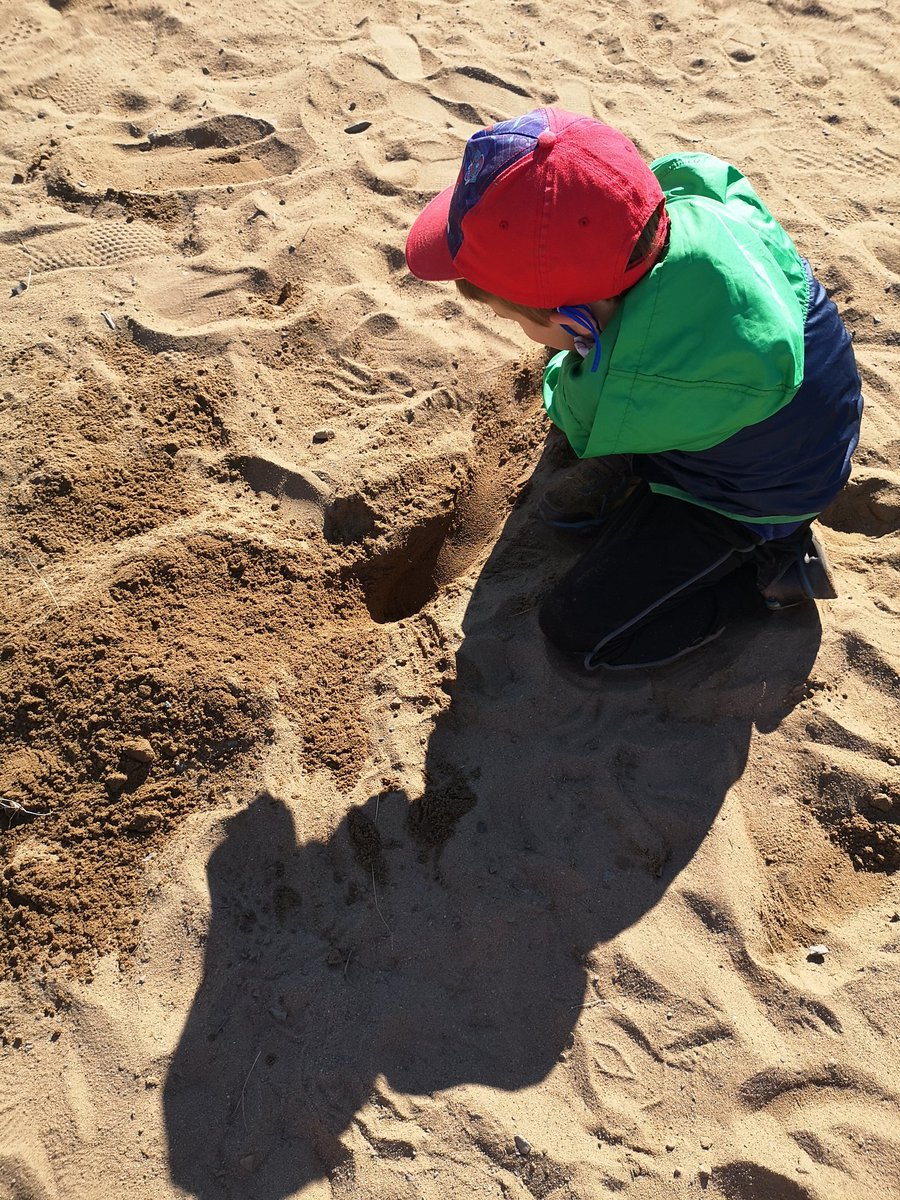 Mister_McLean's tweet photo. Nothing beats starting your day with some large-motor play with your pals! ππββοΈβΉοΈ @OLPeaceOCSB #ocsbKindergarten #NatureIsAClassroom https://t.co/rUi84EBZs8