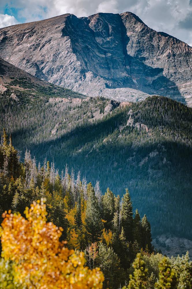 JohnBerryPhotog's tweet photo. Fall has arrived! 

@VisitEstesPark #estespark #Colorado #rockymountains #RMNP #NationalPark https://t.co/Y1S9w0SS6Q