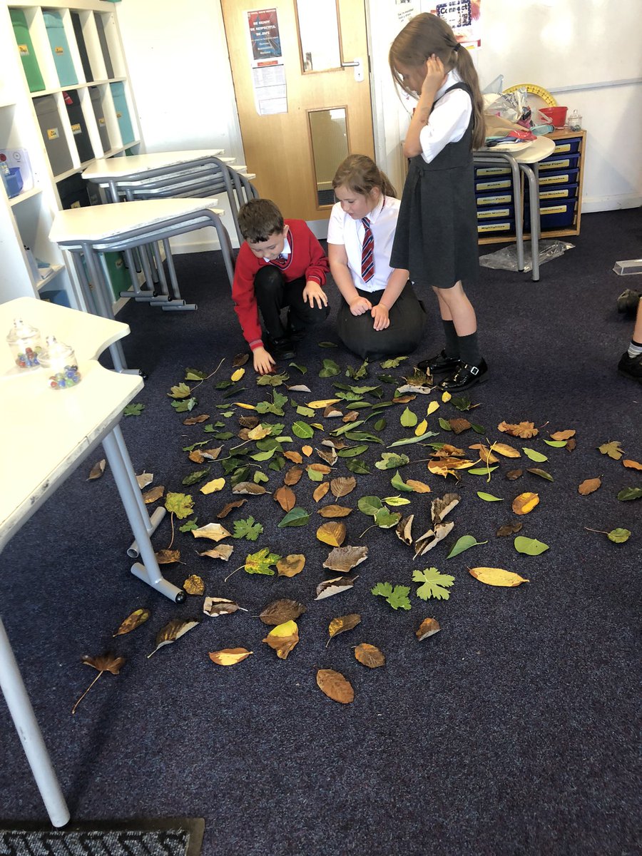 ysgolbrynhedydd's tweet photo. #YBHYear4 have been connecting with nature today by taking part in the #100leafchallenge - here they are selecting their leaves ready to create their art piece. #YBHHCI #5waystowellbeing #connect #naturalart #pupilvoice https://t.co/BLNWCHeMG7