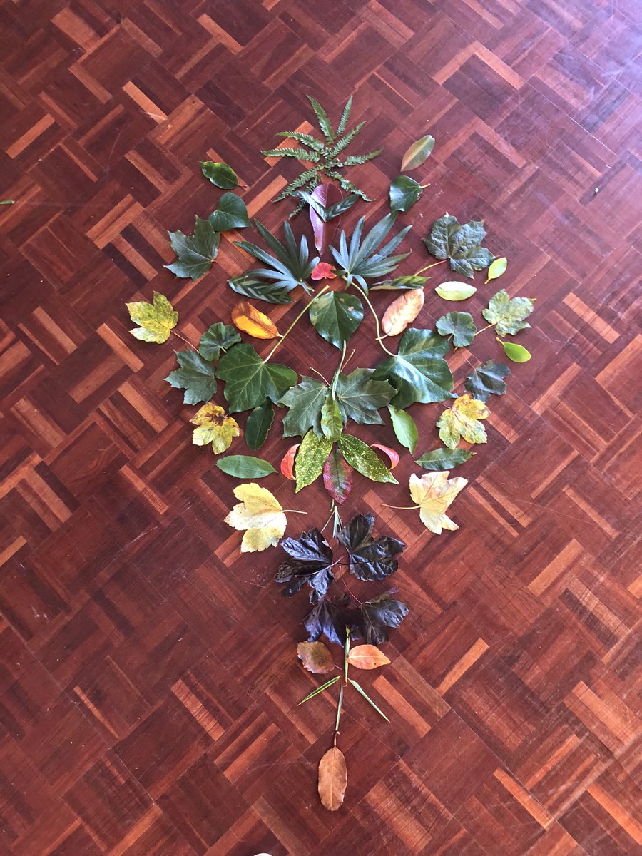 ysgolbrynhedydd's tweet photo. And here are #YBHYear4 working on one of the pieces. Lots to consider, lots to decide and discuss. Super result! Well done everyone!ππ»πππ#100leafchallenge #connectwithnature #5waystowellbeing https://t.co/VzcG1S9hT2