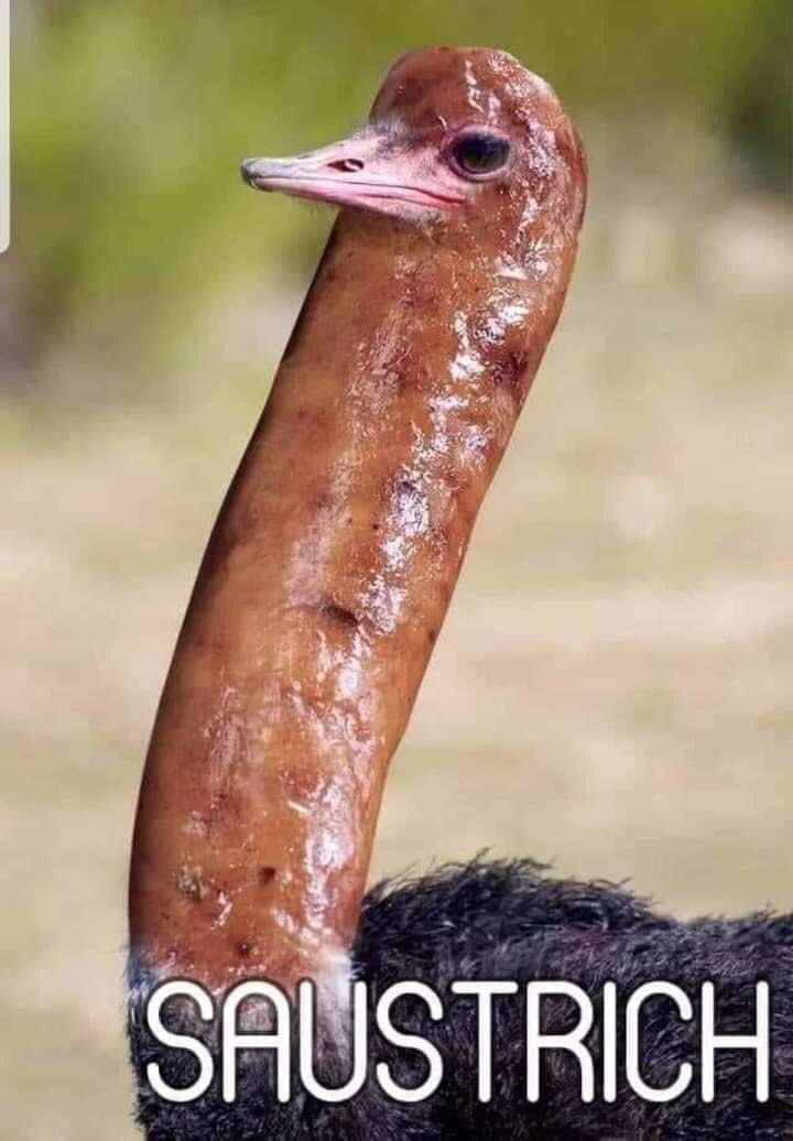 🤔🤔🤣🤣