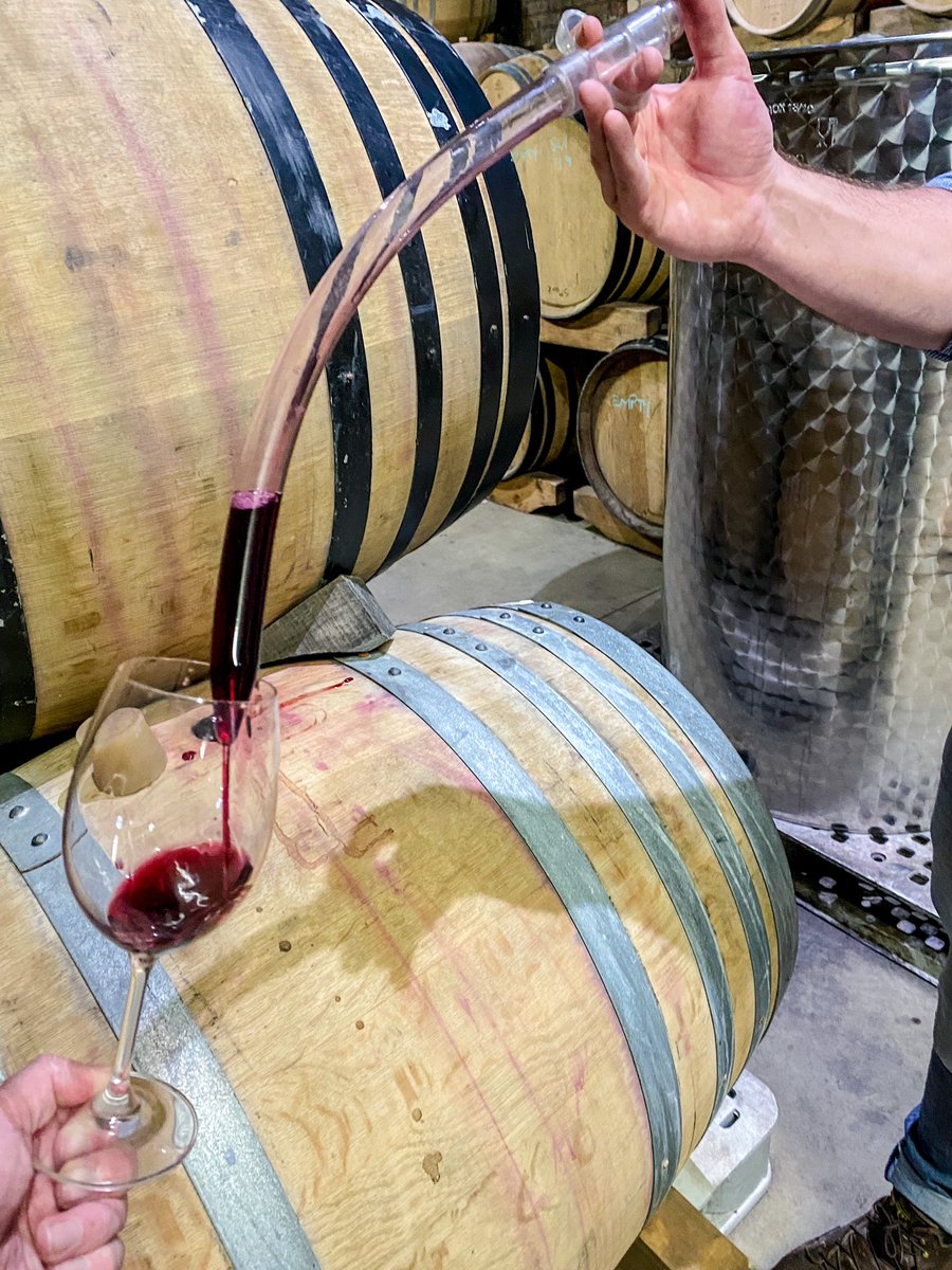 Lloydi_Boy's tweet photo. #WineRoutingWithLloyd - #Spookfontein 🍷
The Hemel-en-Aarde Valley is home to some spectacular spots. #SpookfonteinWines being a recent discovery on my #WineRoutingWithLloyd trip, where I got to taste from the barrel with winemaker #NelisUys.
More here: https://t.co/FcvVSO3sMv https://t.co/ZLu1Srk6Z1
