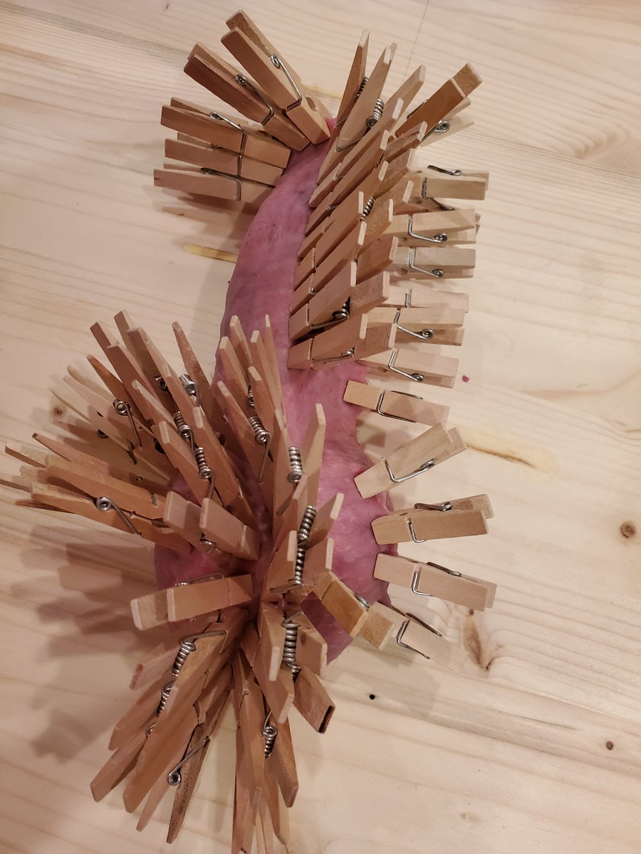 Some Pictures from a year or two ago, I ran outta clothespins :( but I learned my lesson and bought a lot more for future content!!