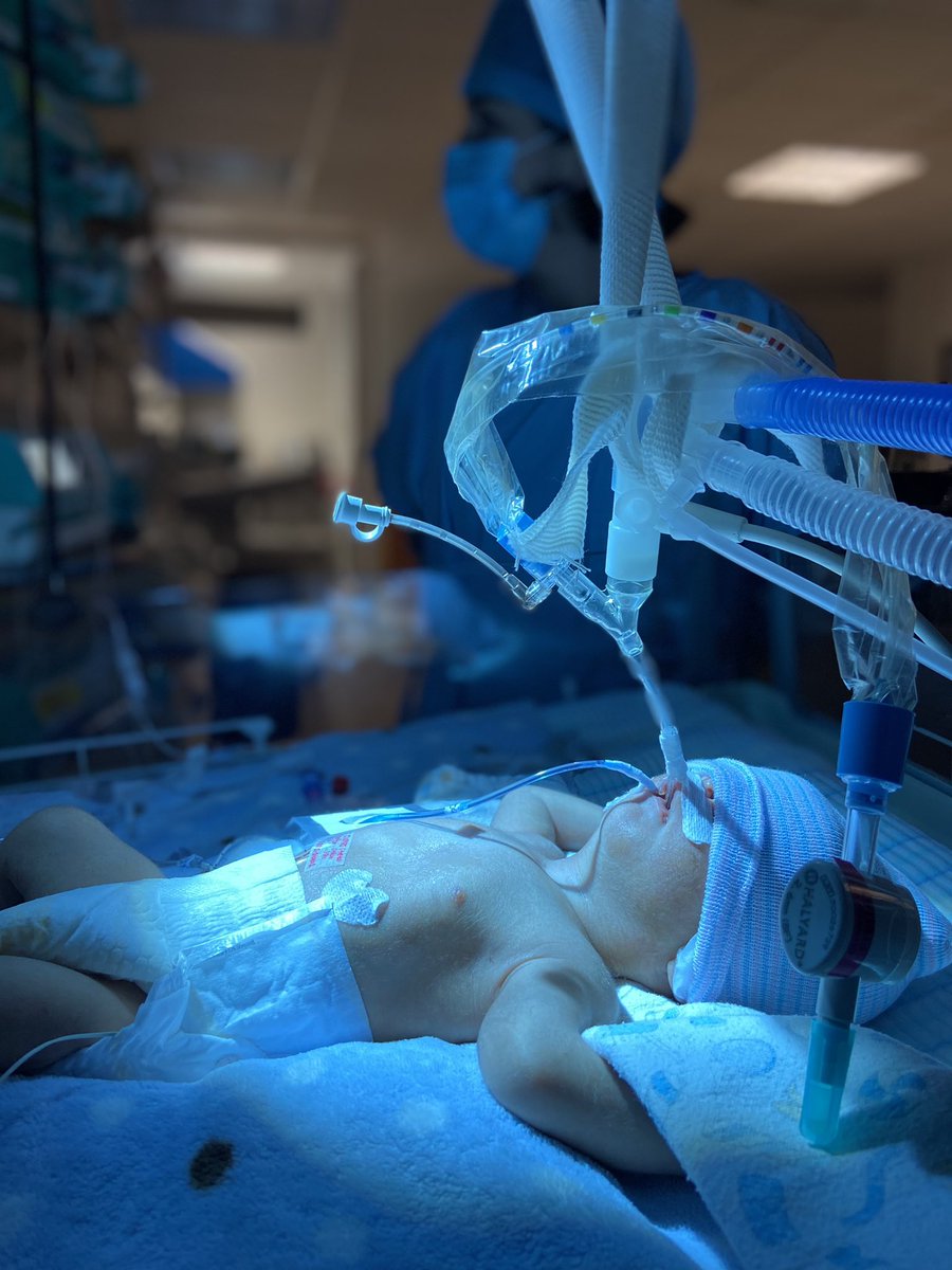 Radical Dancers Hate Silence tweet media