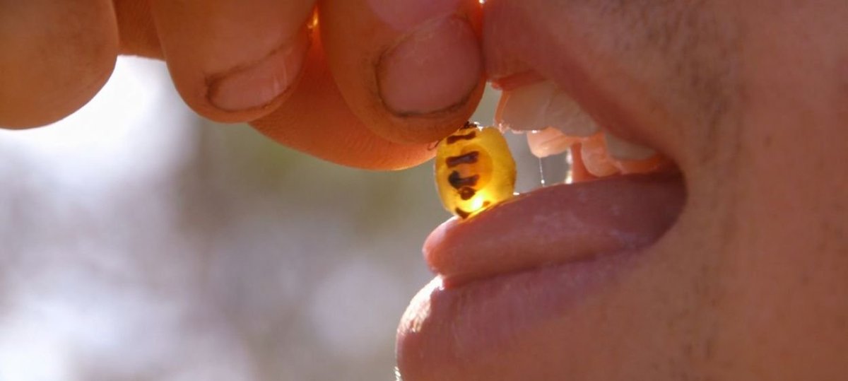 As the first day of the #Landscape2021 conference comes to a close, we are looking forward to tonight's virtual screening of BUGS (<a href="/riseandshine_de/">Rise and Shine Cinema</a>) and 2 more days of exciting conference proceedings! Don't forget to use #Landscape2021 to share your conference experience so far!