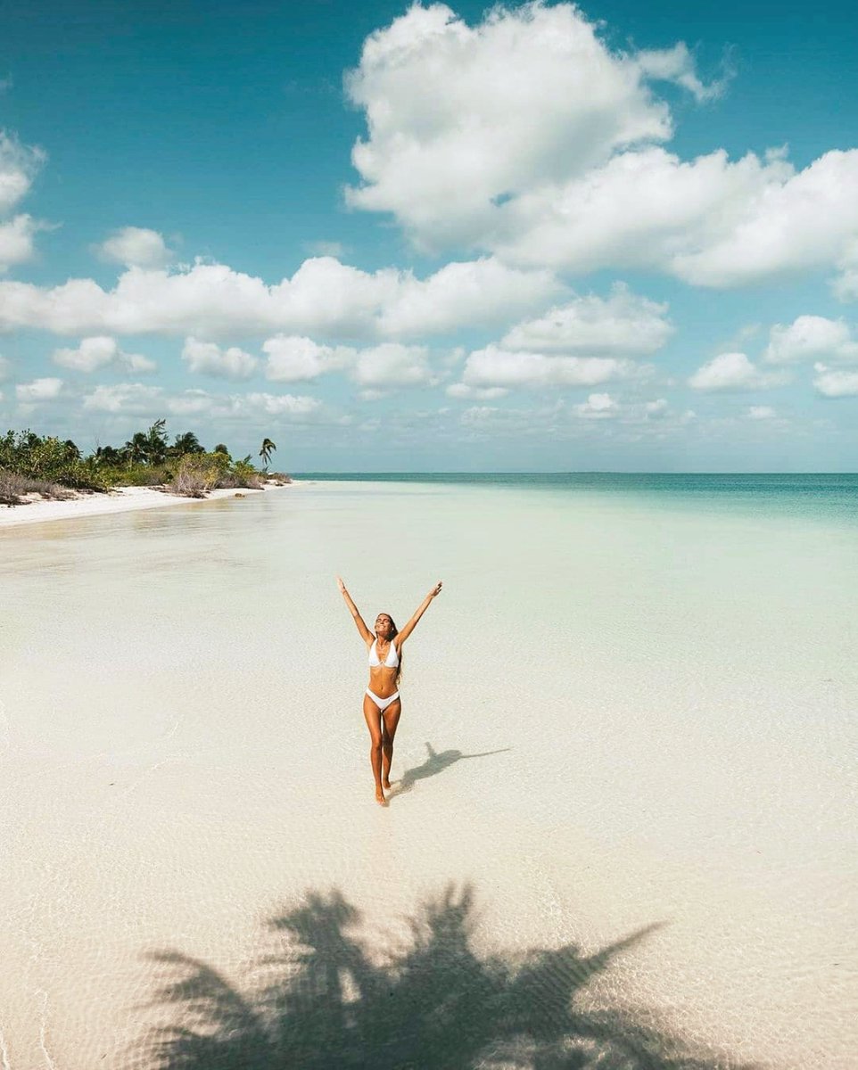 thefunctionalco's tweet image. Soak it up! Live life as a game, enjoy every breath, because you earned it, this life cycle is a brief glimpse!  Every moment is a moment to learn from no matter how chaotic or how peaceful.
-
📸 @natigana
#natural #healthyliving  #wellbeing #eatwell  #inspiration #functionalco