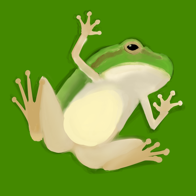 アマガエルのtwitterイラスト検索結果 古い順