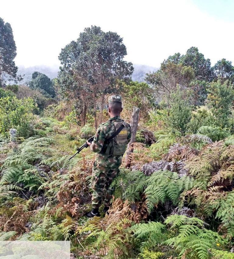 Ejercito_Div5's tweet photo. Respondiendo con inmediatez a la comunidad y en cumplimiento de los compromisos de nuestros soldados, en la vereda La línea de Supía #Caldas, hombres del #BatallónAyacucho prestan seguridad a las tropas del #DesminadoHumanitario para llevar a cabo sus labores.#OctavaBrigada https://t.co/z4hynRS6Iw