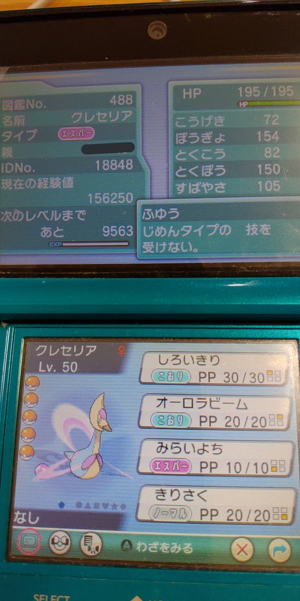 かよ Kayo Pocket Twitter かよ Kayo Pocket Twitter