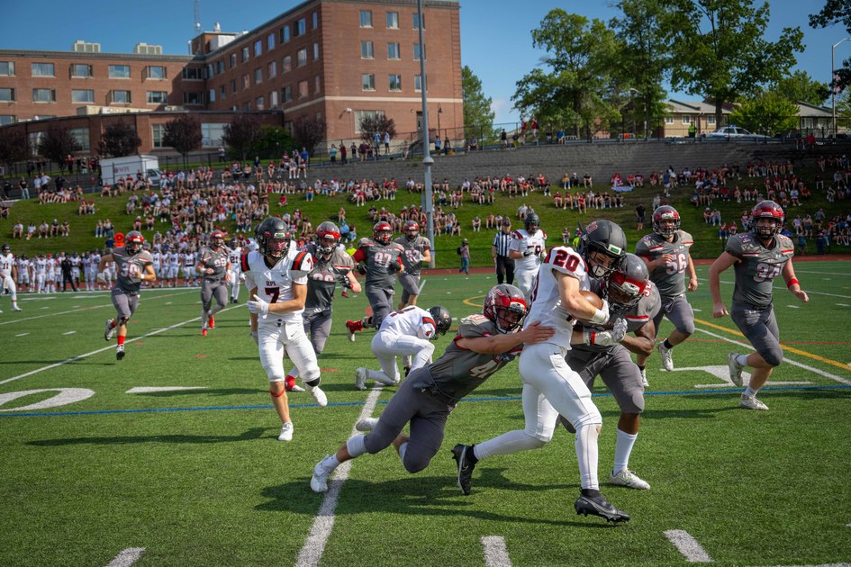 WPI's tweet photo. We unveiled some new artwork on campus, #WPIAlumni were decked out in crimson and grey, and Alumni Stadium was filled with spirit as the Herd came home for #WPIHomecoming this past weekend! https://t.co/RgnIGq0FKF