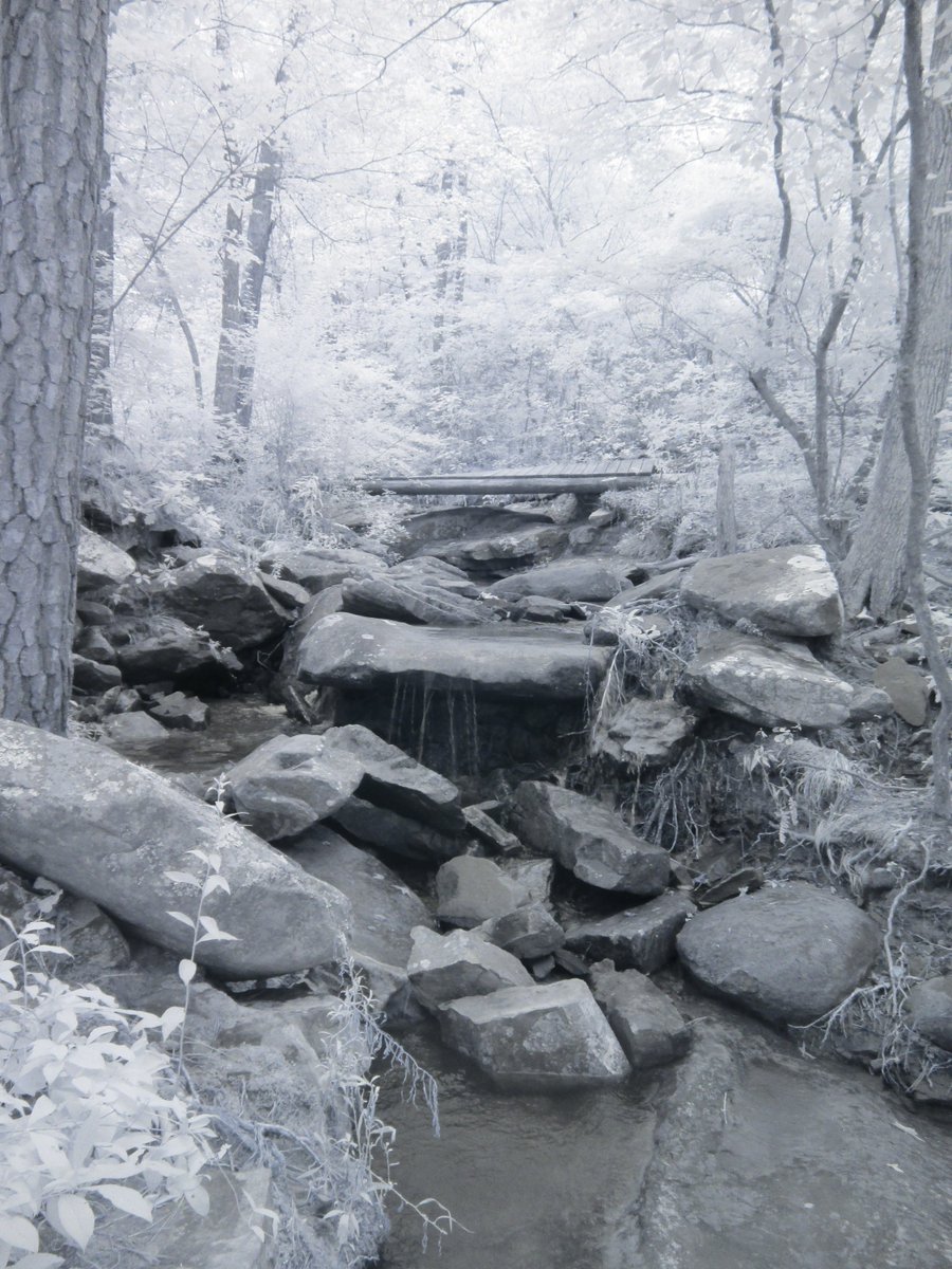 StirlingCorgi's tweet photo. IR photos taken at High Falls Park in Alabama back in June. #Alabama #HighFallsPark #IR https://t.co/tBlN6QBBN2