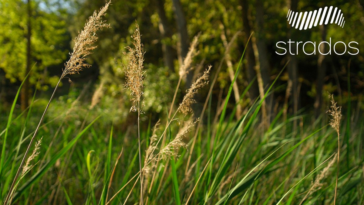 September is one of the most dangerous times for people in the U.S. suffering from #asthma, with hospitalizations peaking the 3rd week of the month. <a href="/GlobeNewswire/">GlobeNewswire</a> shares <a href="/AAFANational/">AAFA National</a>’s steps to prevent asthma flare-ups and life-threatening emergencies:  bit.ly/39jAXSt