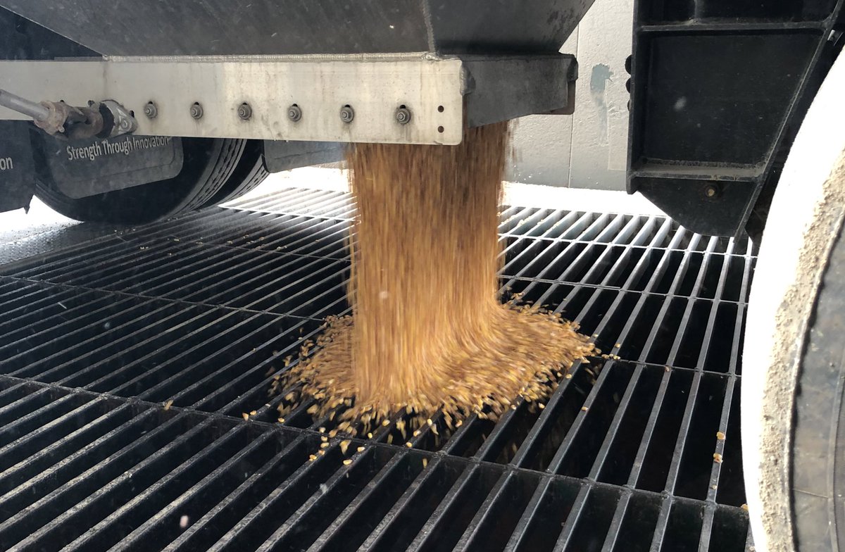 Oh hey, #harvest21! If you’re looking to market some more bushels before your grain comes off the field, let me know how I can help. 🌽 

This photo was just taken at the pit, where we unloaded our FIRST LOAD OF CORN for this year’s crop. 👏