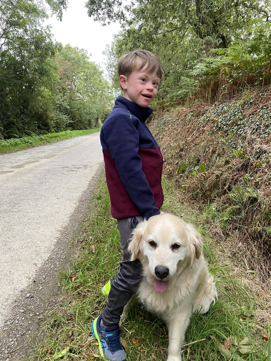 Michael Doran 🐄 tweet media