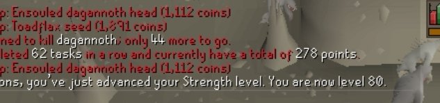 JtsRes's tweet photo. 21M experience points, 77 gardening and a str lvl #osrs #w305 #roadto10Myews https://t.co/YV9yvN4ST6