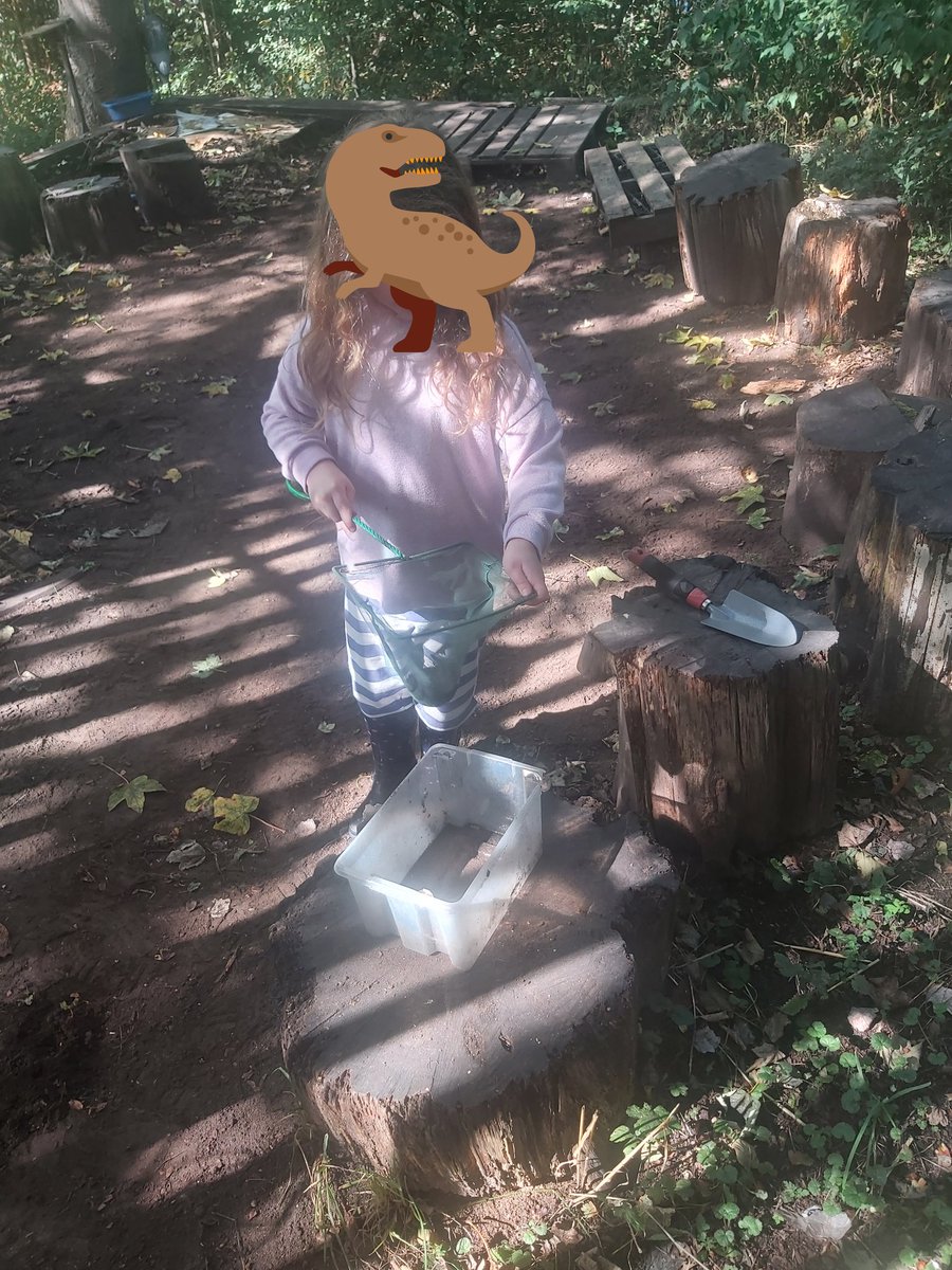 Forestschoolmvps tweet media