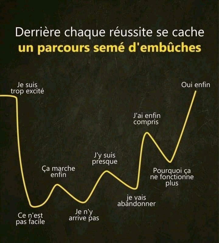 LE SUCCÈS LINÉAIRE EST UN LEURRE !❌❌❌

Le succès fulgurant, sans heurts, sans échecs et sans dénivellations...bref, un succès linéaire, une belle et parfaite ligne droite, du point initial A au un point final B !

ÇA N'EXISTE QUE SUR PAPIER !!!

FM
🛡️⚔️👑⚔️🛡️