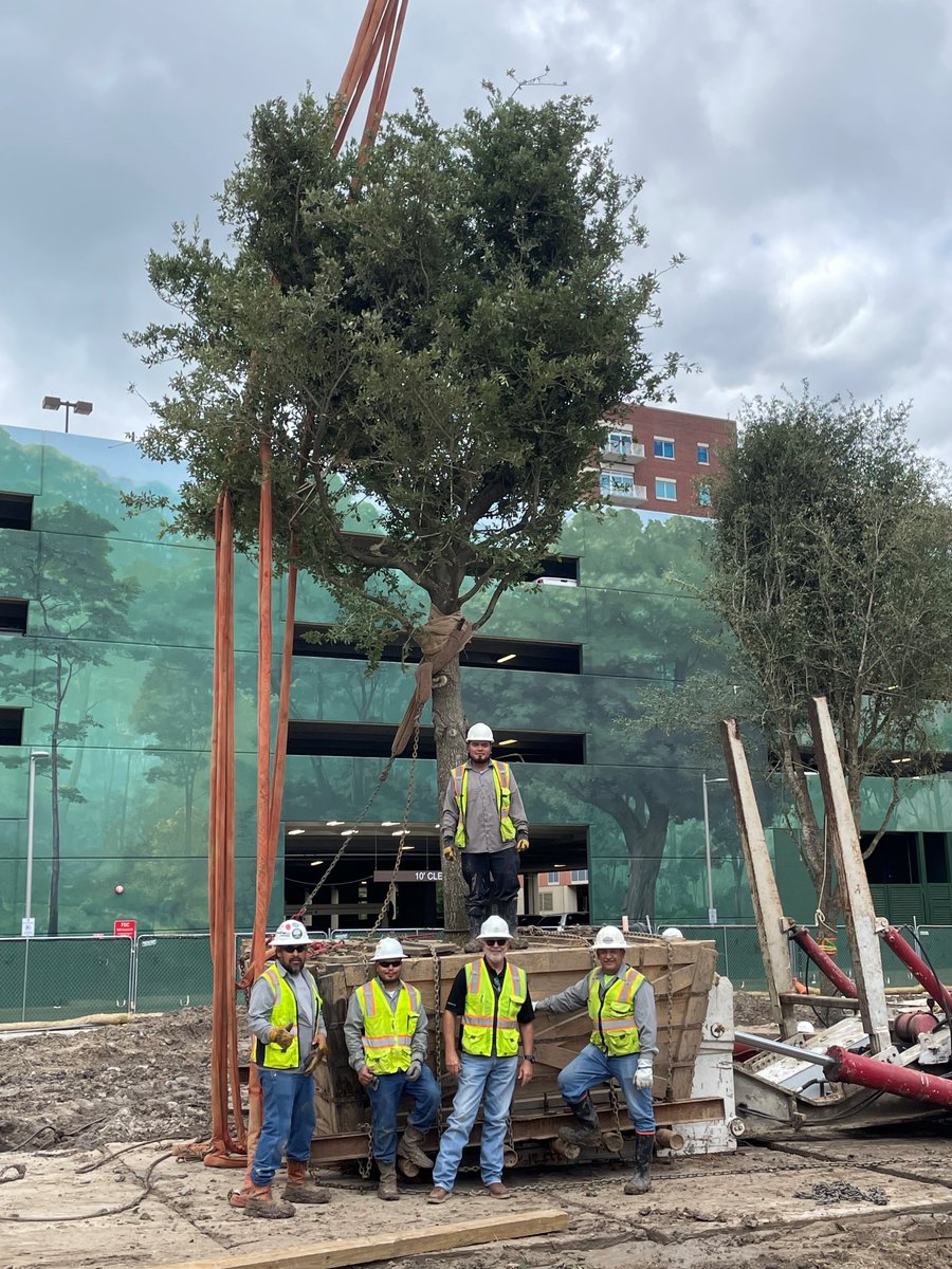 They say you are only as good as your team, EDI has the best tree movers in the world! We are grateful for our teams in the field every day, doing the hard work. Thank you for all you do! #team #wemovebigtrees #teamwork #thankyou #grateful #crews #hardworkers #threegenerations