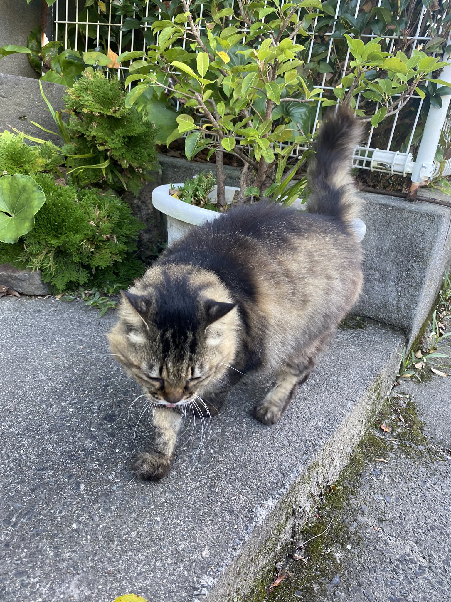 はみマミぃ Y M7s2m Twitter