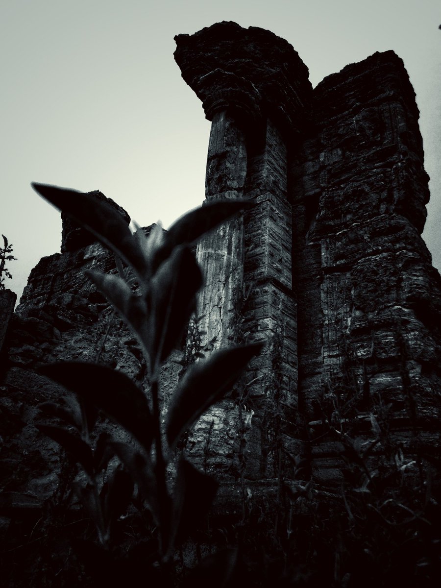 SheikhAmmaar_'s tweet photo. Awantipora, #AwantiswamiTemple
The temples were built by king #Avantivarman of the #Utpala dynasty in the 9th century A.D. on the banks of river #Jhelum. The temples were destroyed by #earthquakes.
Photo: Sheikh Ammaar.
#historical #Temples #remains #Kashmir https://t.co/vdqk9W8EMs