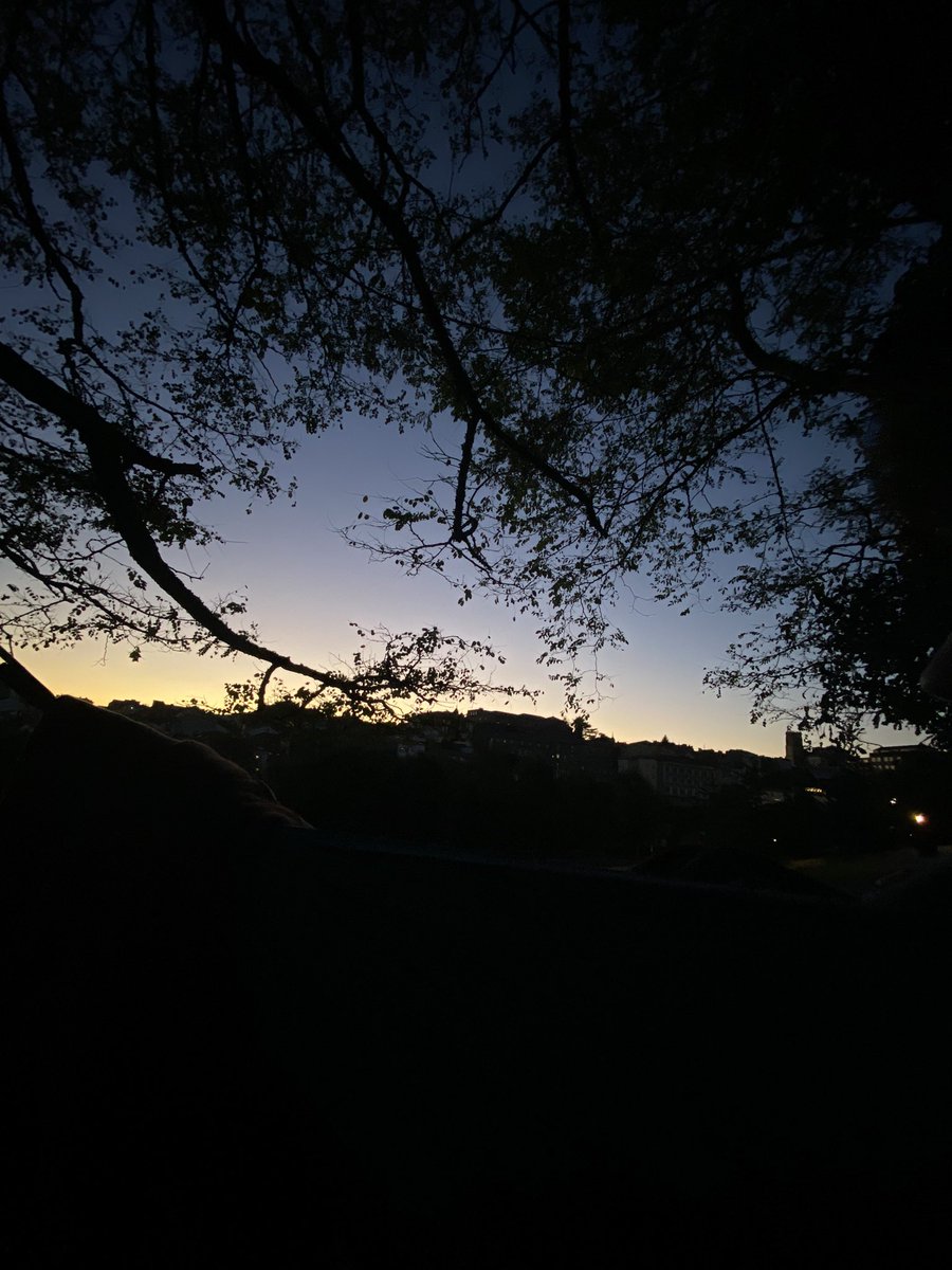 inessmff's tweet photo. Santiago desde la hamaca🐛 https://t.co/ma31M3mKcK