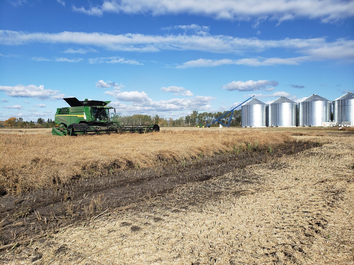 TyroneJamale347's tweet photo. Big thank you to Bray Mullin for taking the time to seed &amp; harvest our Clearfield plot. We got some nice results, 607 for the win! #yieldhero21 @PioneerSeedsCA https://t.co/EUCpbt9Ax5