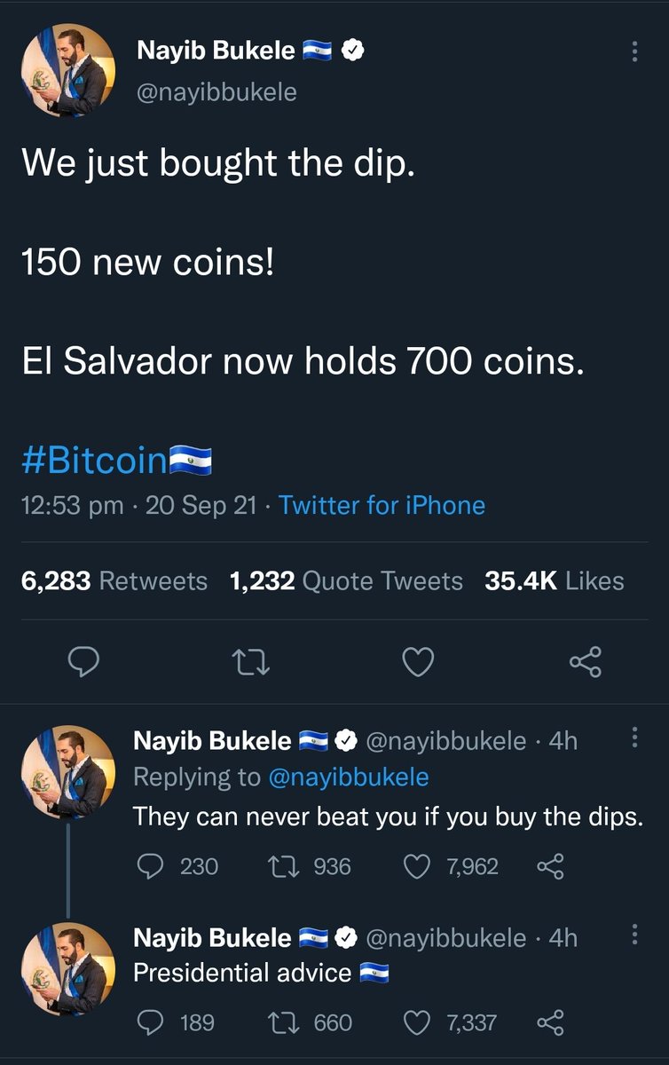 pnwexplored's tweet photo. #whosbuying #buythedip #nobearshere https://t.co/gTZrIARnzs