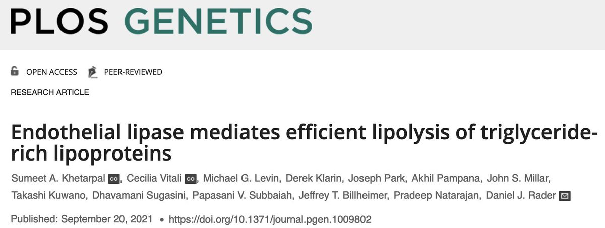 Pradeep Natarajan (@pnatarajanmd) on Twitter photo Our study led by <a href="/SumeetKhetarpal/">Sumeet Khetarpal</a> <a href="/MGHCVFellows/">MGH Cardiology Fellows</a> & D Rader <a href="/PennGenetics/">Penn Genetics</a> uses human & murine genetic studies to show that endothelial lipase, in addition to & in collab w/ lipoprotein lipase, is a regulator of TG-rich lipoprotein metabolism journals.plos.org/plosgenetics/a… <a href="/PLOSGenetics/">PLOS Genetics</a> Our study led by <a href="/SumeetKhetarpal/">Sumeet Khetarpal</a> <a href="/MGHCVFellows/">MGH Cardiology Fellows</a> & D Rader <a href="/PennGenetics/">Penn Genetics</a> uses human & murine genetic studies to show that endothelial lipase, in addition to & in collab w/ lipoprotein lipase, is a regulator of TG-rich lipoprotein metabolism journals.plos.org/plosgenetics/a… <a href="/PLOSGenetics/">PLOS Genetics</a>