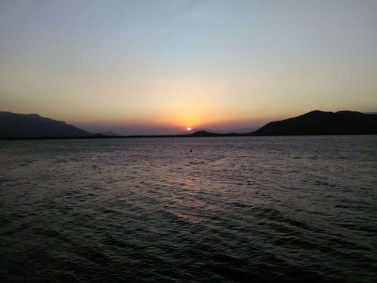 Coryatur tweet media