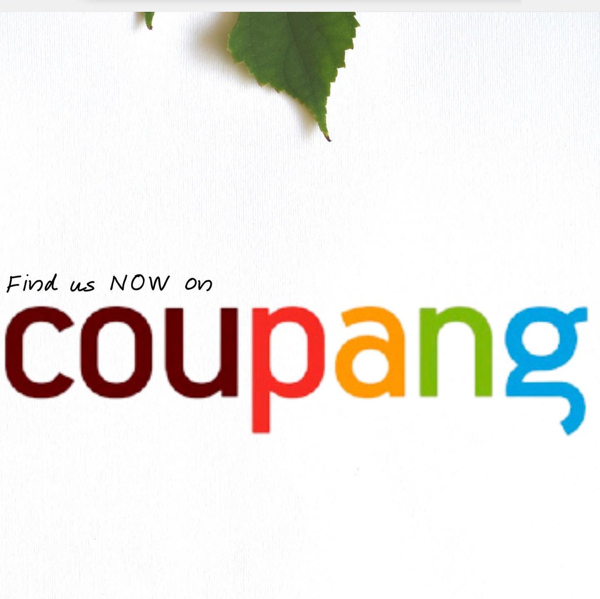 We’ve successfully hopped onto Coupang! 👀 For those in Korea, find us on your go to e-marketplace!

#wcn #westcoastnaturals #wcnxcoupang #coupang
