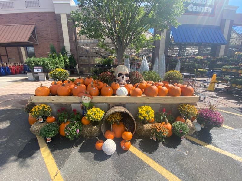 DeborahVarriale's tweet photo. Fall has arrived at ⁦@LowesFlemington⁩! Thank you for helping me create these lovely displays from Bob Geddis our Pro desk manager  and Ali from Plant Partner’s! https://t.co/07sOHVunWt
