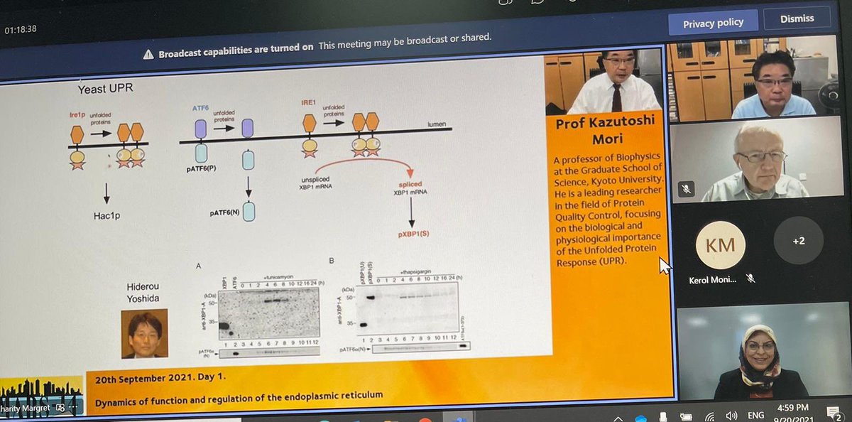IMARS (@maillardsociety) on Twitter photo Honored to host Lasker laureate Prof Kazutoshi Mori at #IMARS14 virtual conference earlier today, hosted by <a href="/rabbani_naila/">Professor Dr Naila Rabbani</a> and <a href="/pjthornalley/">Paul J Thornalley</a>, Doha, #Qatar. Great story of scientific enquiry & discovery of the UPR. Breakthrough research. <a href="/royalsociety/">The Royal Society</a> <a href="/HBKU/">جامعة حمد بن خليفة</a> <a href="/QF/">Qatar Foundation</a> <a href="/QatarUniversity/">جامعة قطر</a> Honored to host Lasker laureate Prof Kazutoshi Mori at #IMARS14 virtual conference earlier today, hosted by <a href="/rabbani_naila/">Professor Dr Naila Rabbani</a> and <a href="/pjthornalley/">Paul J Thornalley</a>, Doha, #Qatar. Great story of scientific enquiry & discovery of the UPR. Breakthrough research. <a href="/royalsociety/">The Royal Society</a> <a href="/HBKU/">جامعة حمد بن خليفة</a> <a href="/QF/">Qatar Foundation</a> <a href="/QatarUniversity/">جامعة قطر</a>