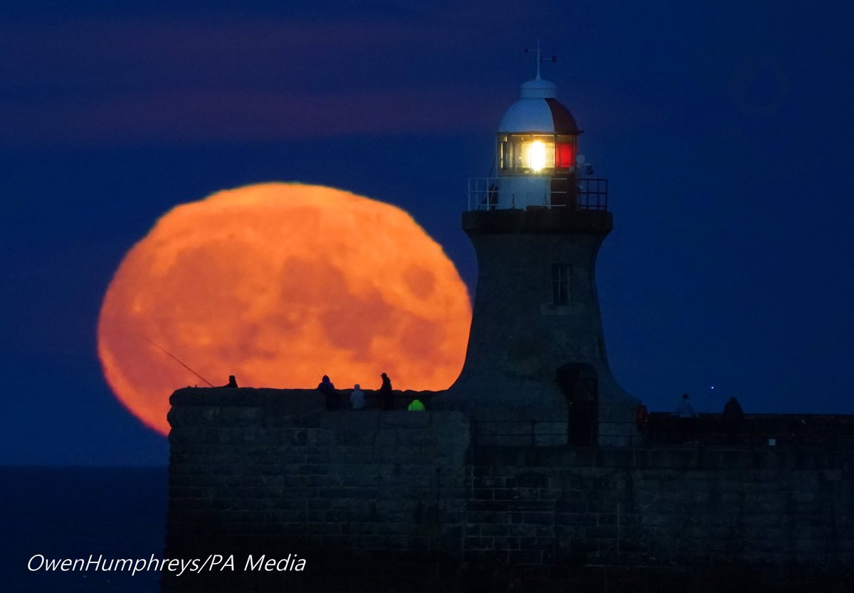 Owen Humphreys tweet media