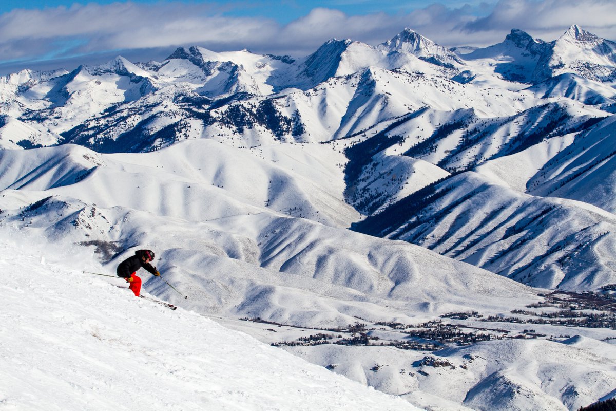 Occupation_Wild tweet media