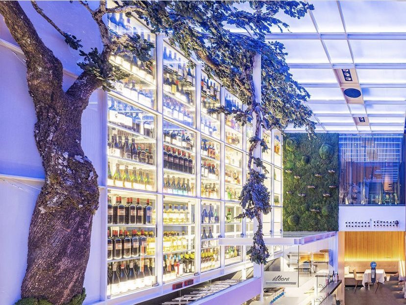 Ven a disfrutar de nuestra cocina de temporada, además de espléndidas chacinas Joselito y conservas @lacatedraldenavarra 
 
Reservas: +34 91 781 61 97
restaurantealbora.com

#restaurantesmadrid #comerenmadrid #terraza #gastronomia