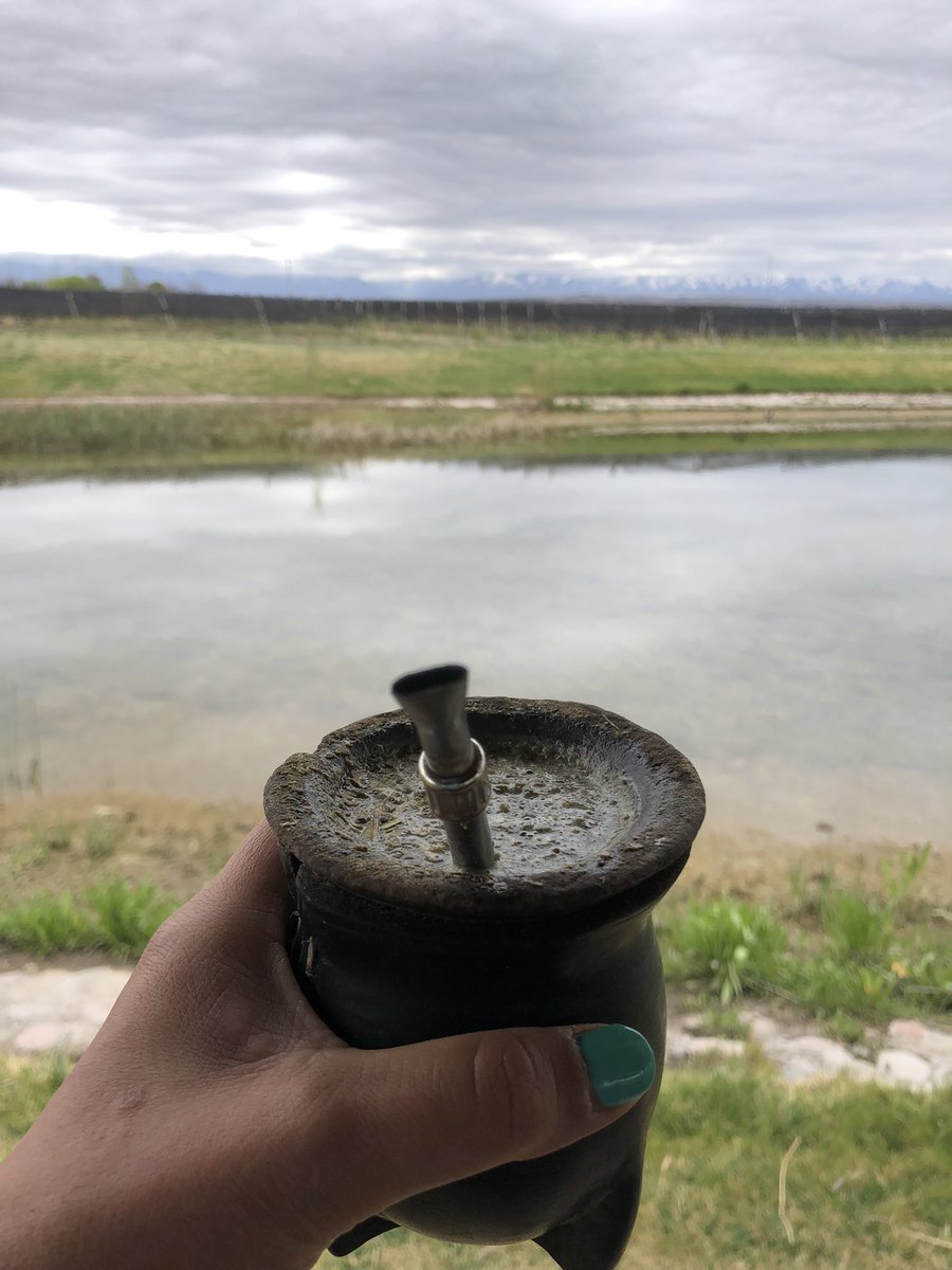 ViveLosAndes's tweet photo. Abrazame que tengo frío 😍 🧉@domaineBousquet #ValledeUco @quiz_viajero #vino #bodegueando #Mendoza 🇦🇷 https://t.co/jKg6RLwWyc
