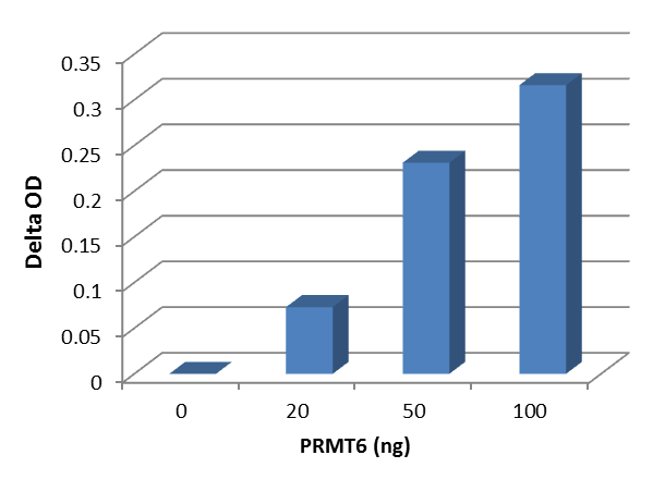 EpigenTek's tweet photo. Attention all Type I #PRMT researchers out there:
We have a brand new kit for you!
Our new kit directly measures type I PRMT activity in under 3 hrs from cell/tissues & purified type I PRMT with a detection limit as low as 10 ng.
Learn More:
https://t.co/VJ1YpfNkb8 https://t.co/vj6wcFU1AL