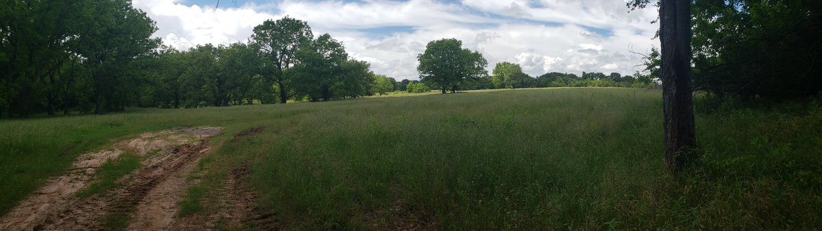 land_fix's tweet photo. Get your piece of America, affordably. Property coming soon. Stay tuned... #landfix #propertyforsale #landforsale #land #ruralland https://t.co/ACcbBZJCQG