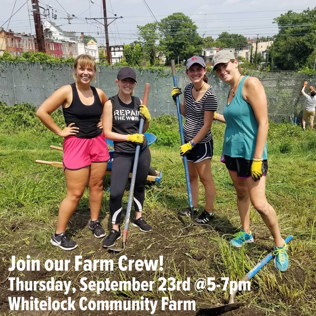 Interested in working for food and land sovereignty for urban farmers and gardeners in Baltimore City? Join Baltimore Repair's farm crew, volunteering this Thursday with the Whitelock Community Farm from 5-7pm! 

Register today ➡️werepair.org/baltimore/?pop…
