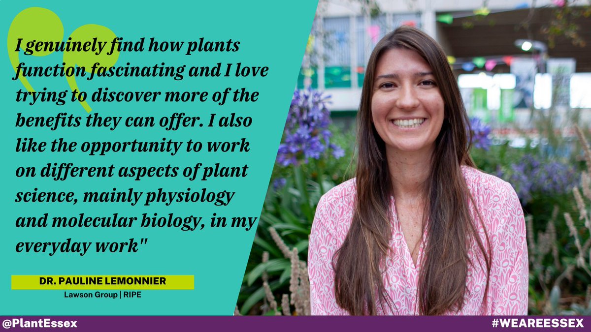 PlantEssex's tweet image. Dr. Pauline Lemonnier is another of our brilliant #PlantPostdocs. Pauline is a plant physiologist working with @DrTracyLawson to improve photosynthetic induction for @RIPEProject. 

🔬🌾Read her latest work: bit.ly/3EBPW8T

#NPAW2021 #WeAreEssex @EssexLifeSci @UK_NPAW