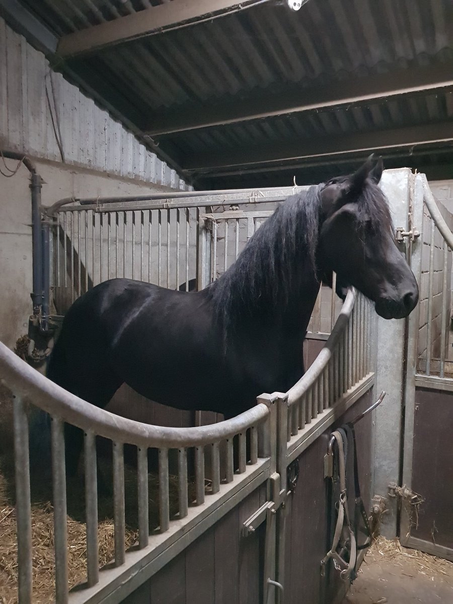 ProOVP's tweet image. Grote, stoere 5 jarige!