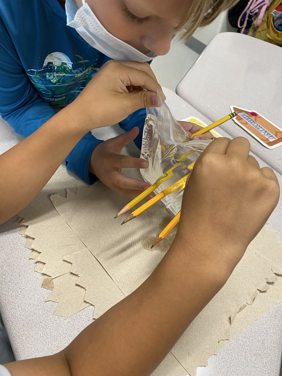 We had a fun day in science today! We created a hypothesis about what would happened if we poked a pencil through a bag full of water. To say the least, we were all surprised at the outcome! #goGPgators