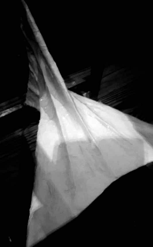 THE SELF-ISOLATION RESIDENCY
18TH SEPTEMBER 2021: DAY 538

'Scapuloid. B(l)each(ed) Bones.'
Womb with growing work in progress.

antonyclarkson.com/blog/the-self-…

#InPursuitOfTheSublime #PersonalTopographies #Rothko #Friedrich #Hepworth #Bacon #Moore #Tanguy #TheInvisibles #BleachedBones