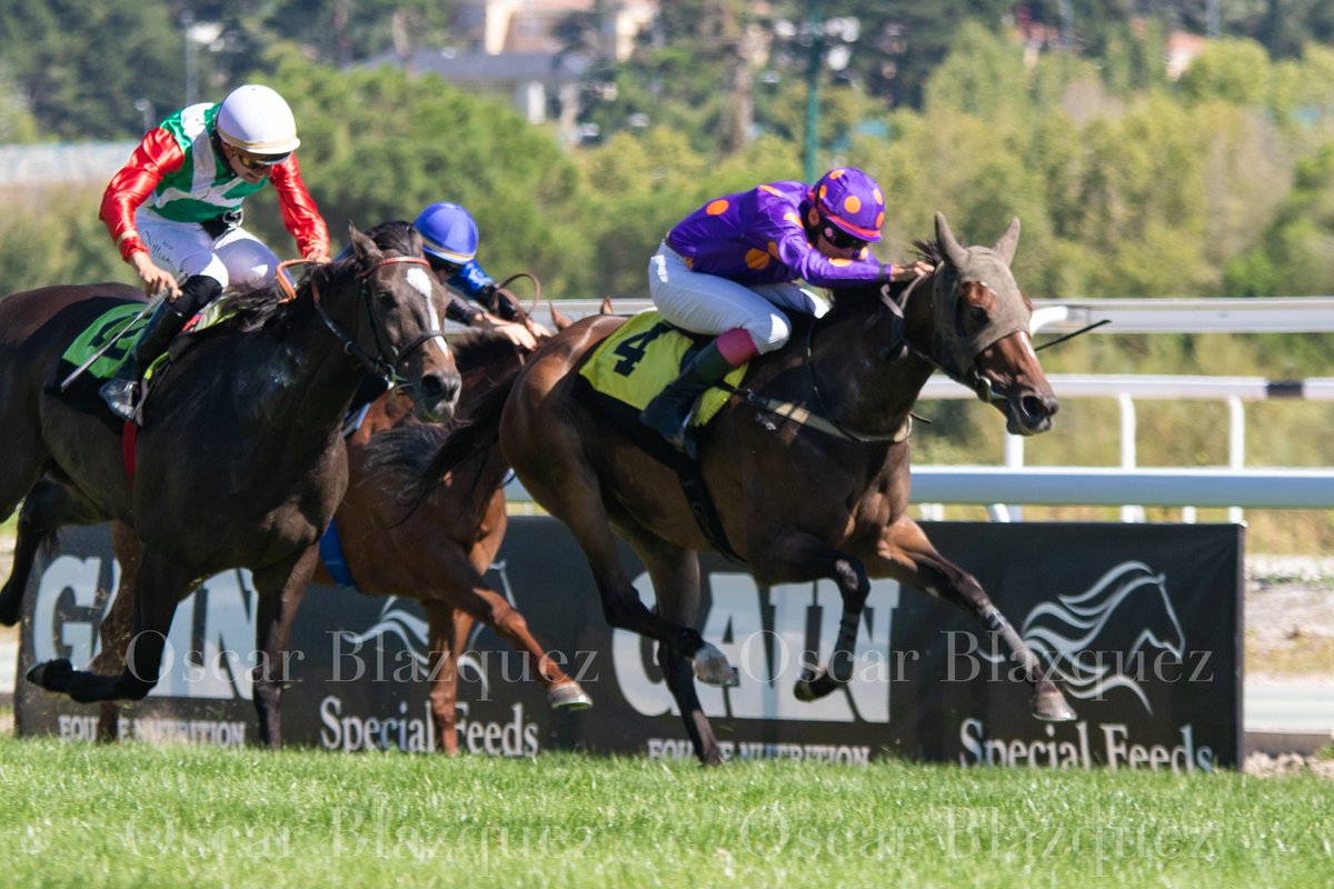 skoti15's tweet photo. Vetona vuelve a ganar junto a @raulramos488 (que la tiene cogida la medida), aguantando el fuerte remate de Leader´s Legacy.
El jockey donostiarra sigue montando de fabula, y yo que me alegro. https://t.co/XufZTUraOr