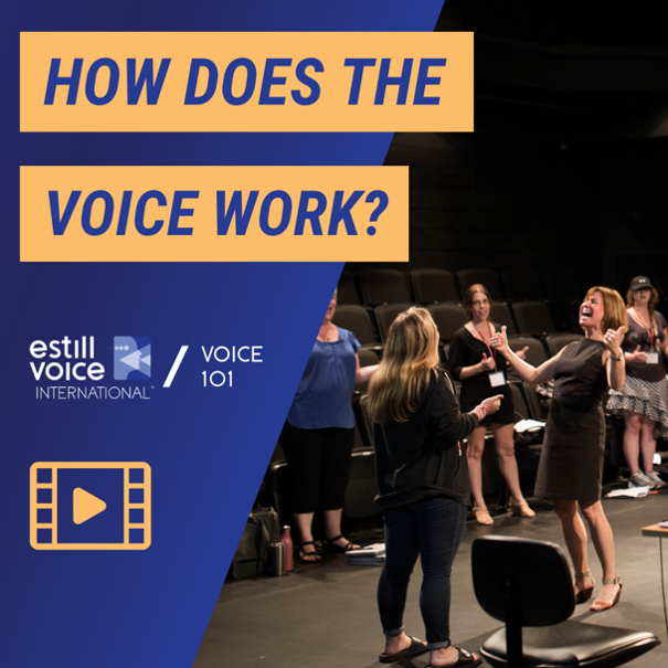 estillvoice's tweet photo. Have you ever wondered how the voice works? Let Kim tell you all about it: https://t.co/zijPbo2rFK
#moviemonday
#voice101
#howthevoiceworks
#voicetraining
#estillvoice https://t.co/Aa02UEOQN6