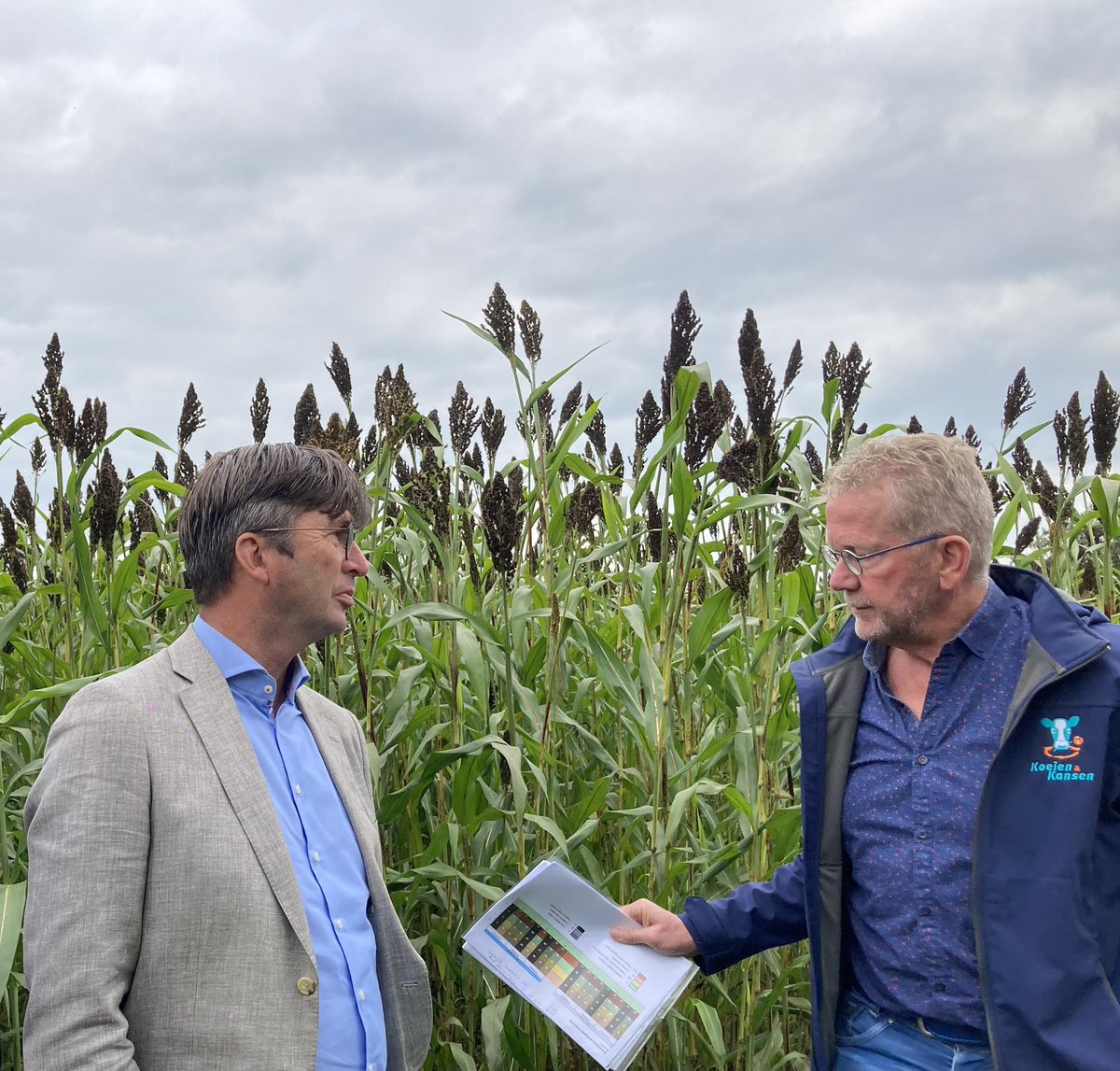 Met bedrijfsleider <a href="/demarkehengelo/">Agro-innovatiecentrum De Marke</a> en <a href="/hveldhuizen/">Henk Veldhuizen</a> voor de droogtebestendige sorghum