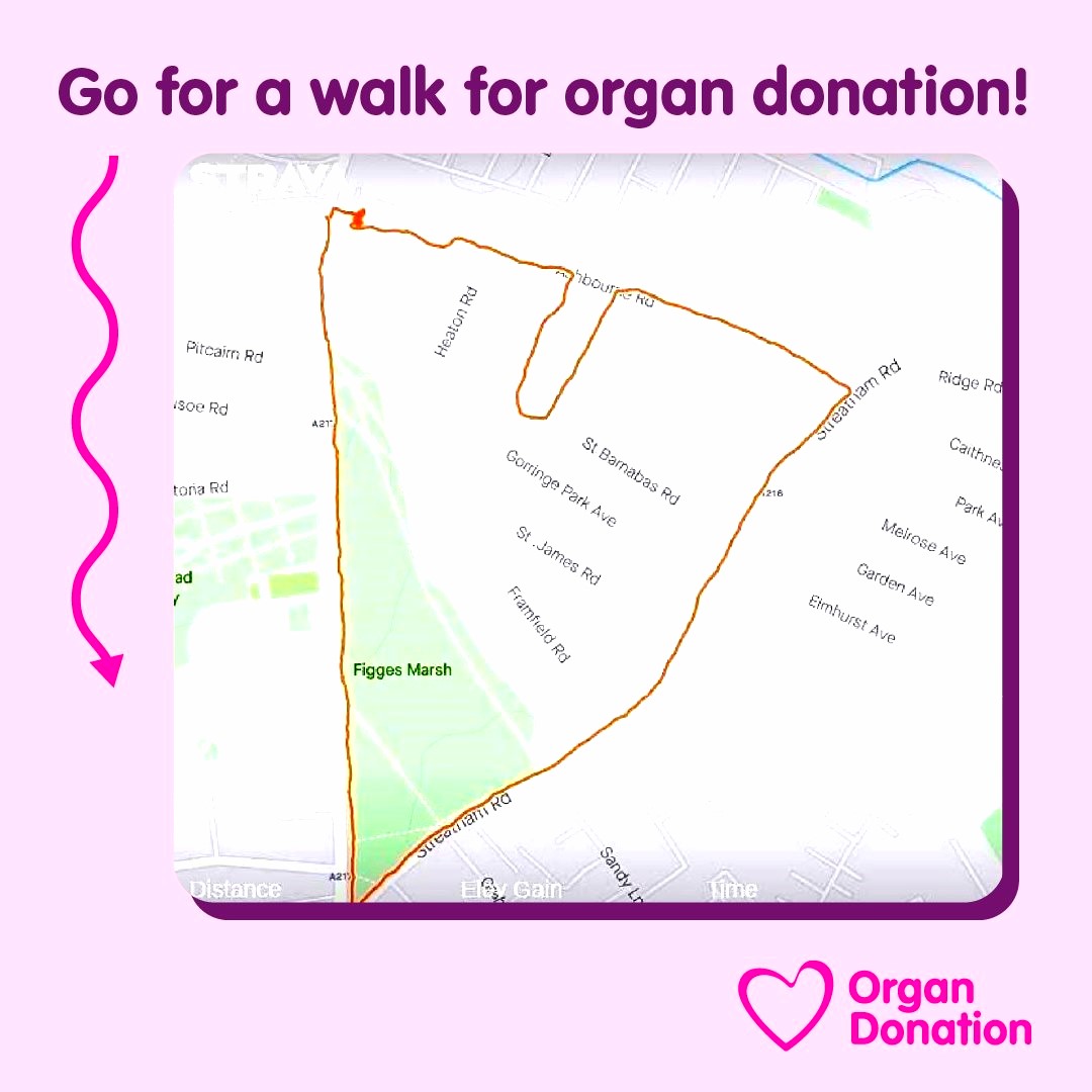 Opt For Life tweet media