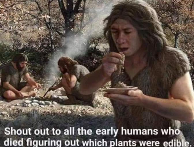 AlpacaAurelius's tweet photo. https://t.co/kfKDjEMcqg