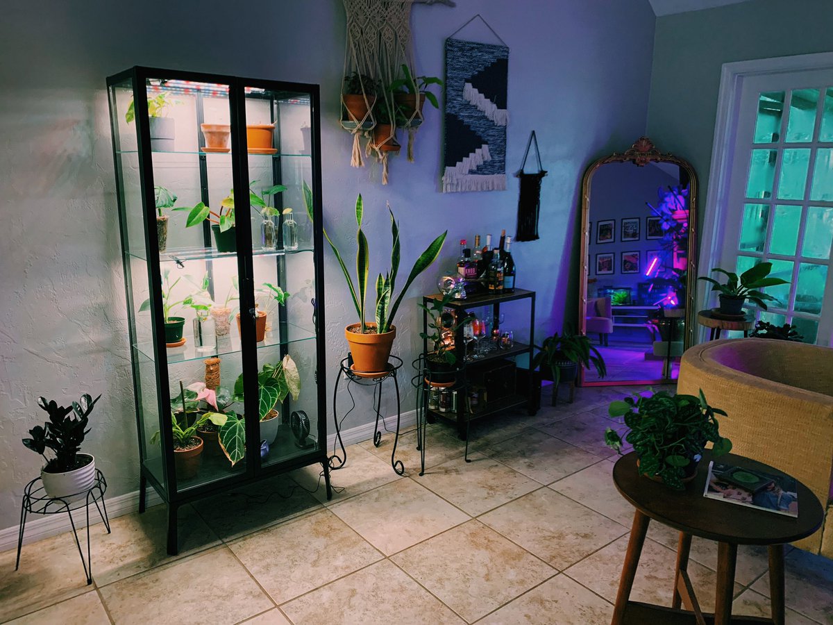 herbivoreabbey's tweet photo. My Ikea plant cabinet is all set up💕🌱 https://t.co/0THb27RDkB
